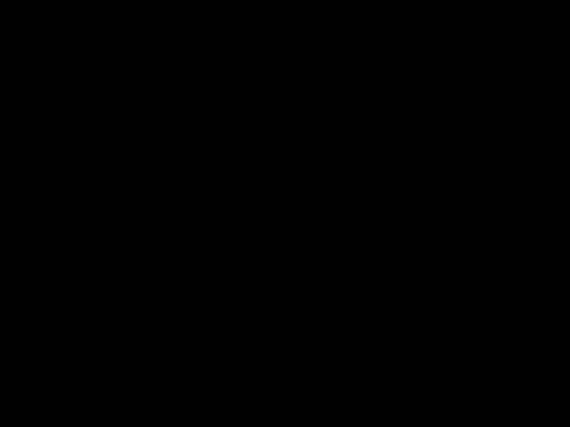 孤注一掷